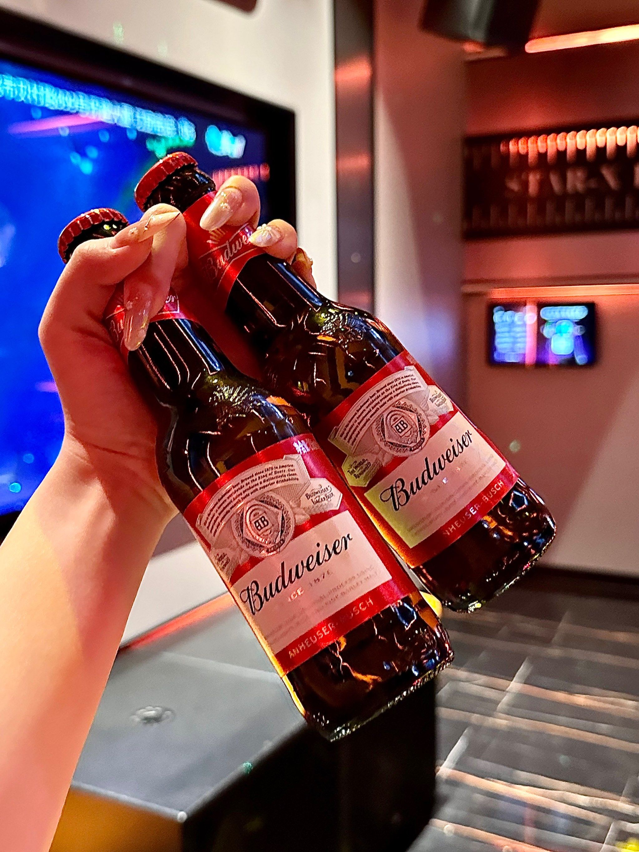 沈阳商务ktv订房指南-大东区ktv预订